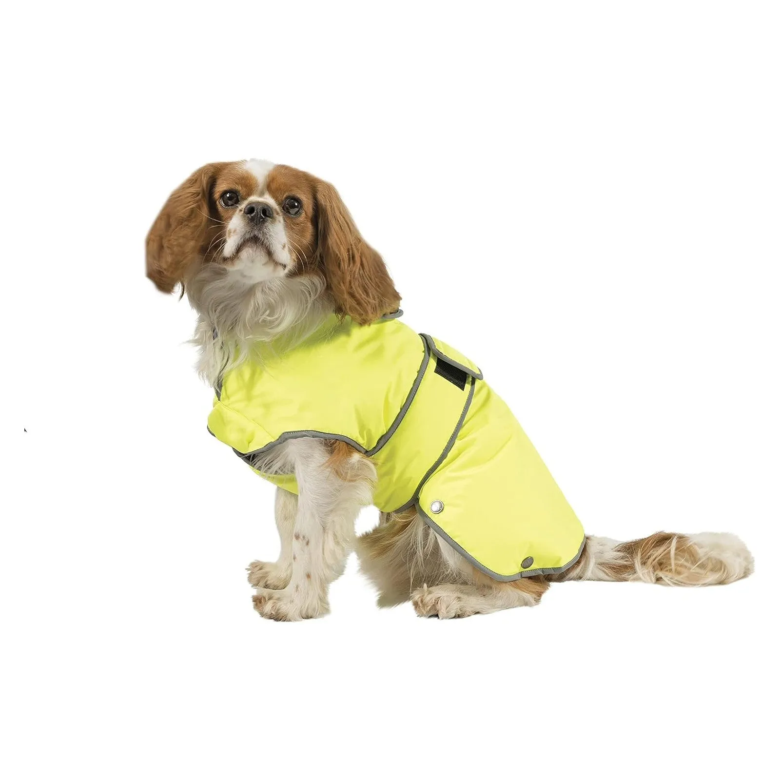 Ancol Stormguard 40cm Hi-Visibility Dog Coat - Medium