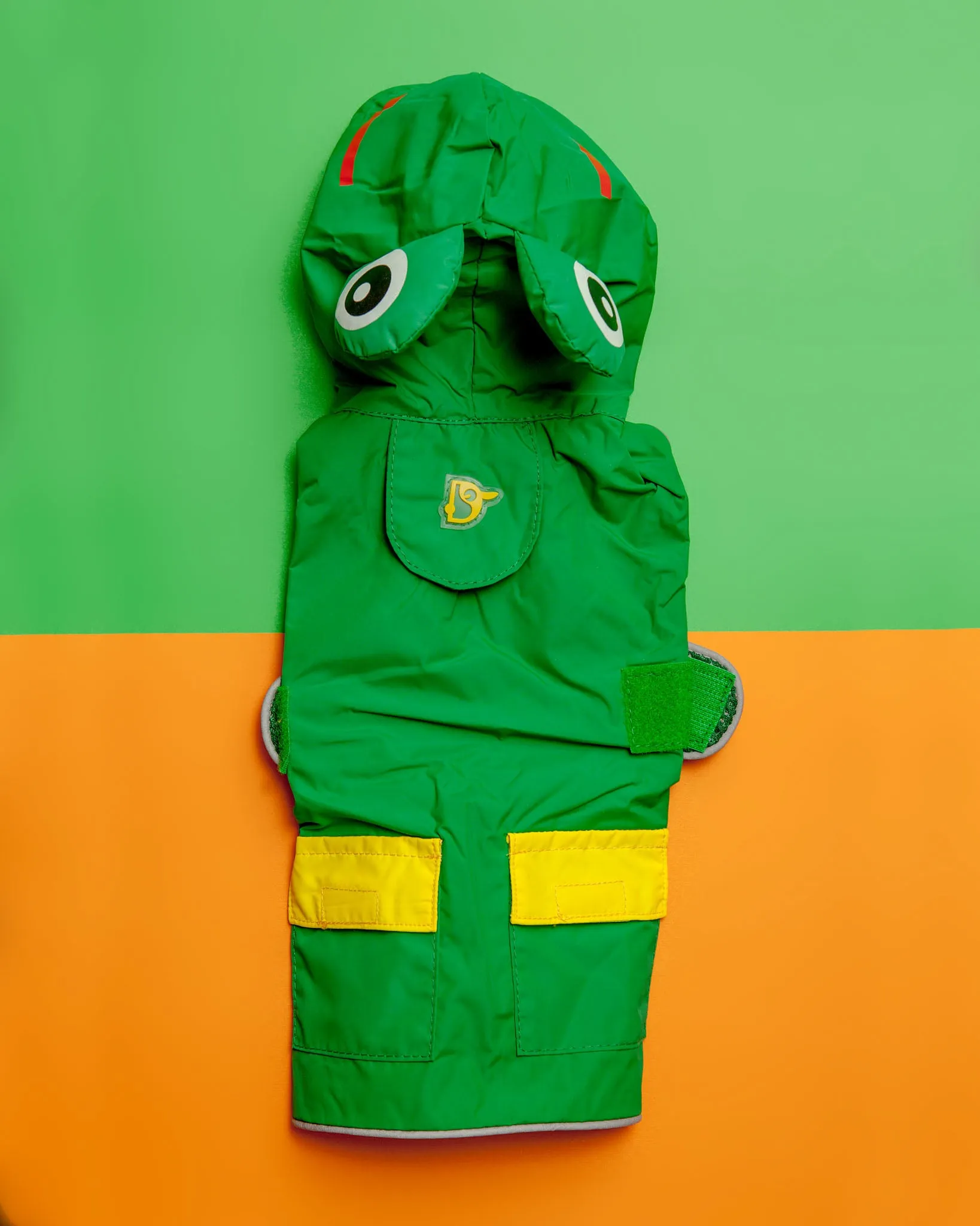 Frog Raincoat in Green