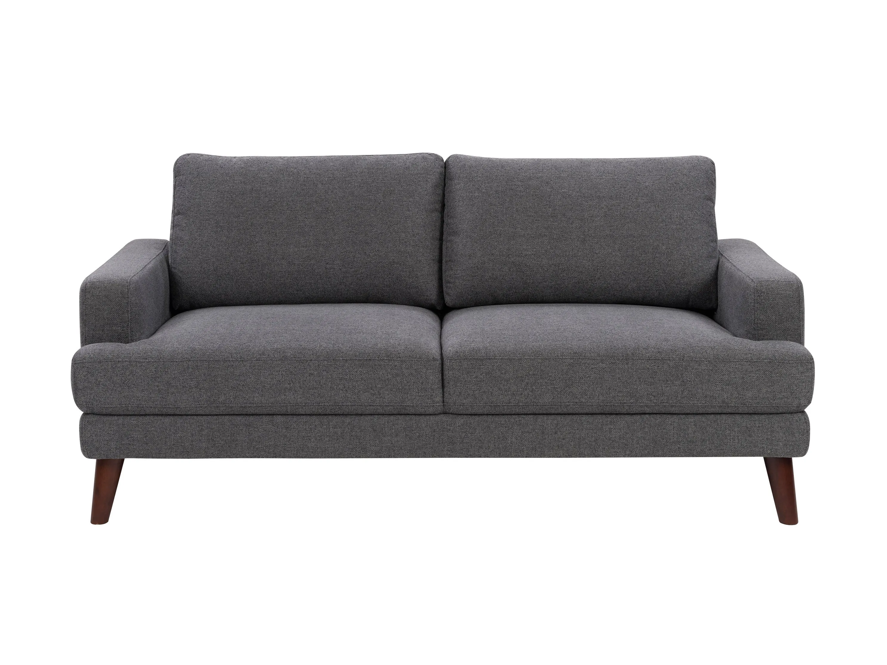 Modern Loveseat Sofa