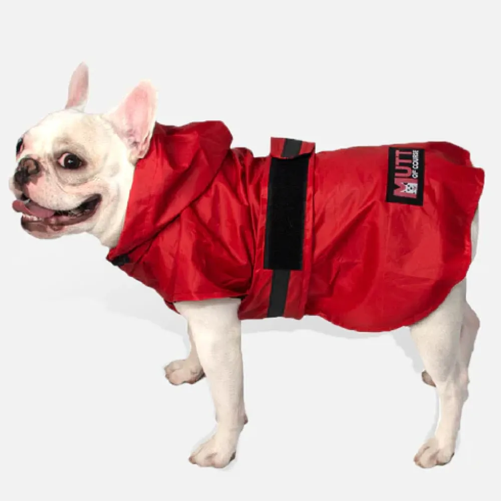 Mutt of Course Raincoat For Dogs (Red)