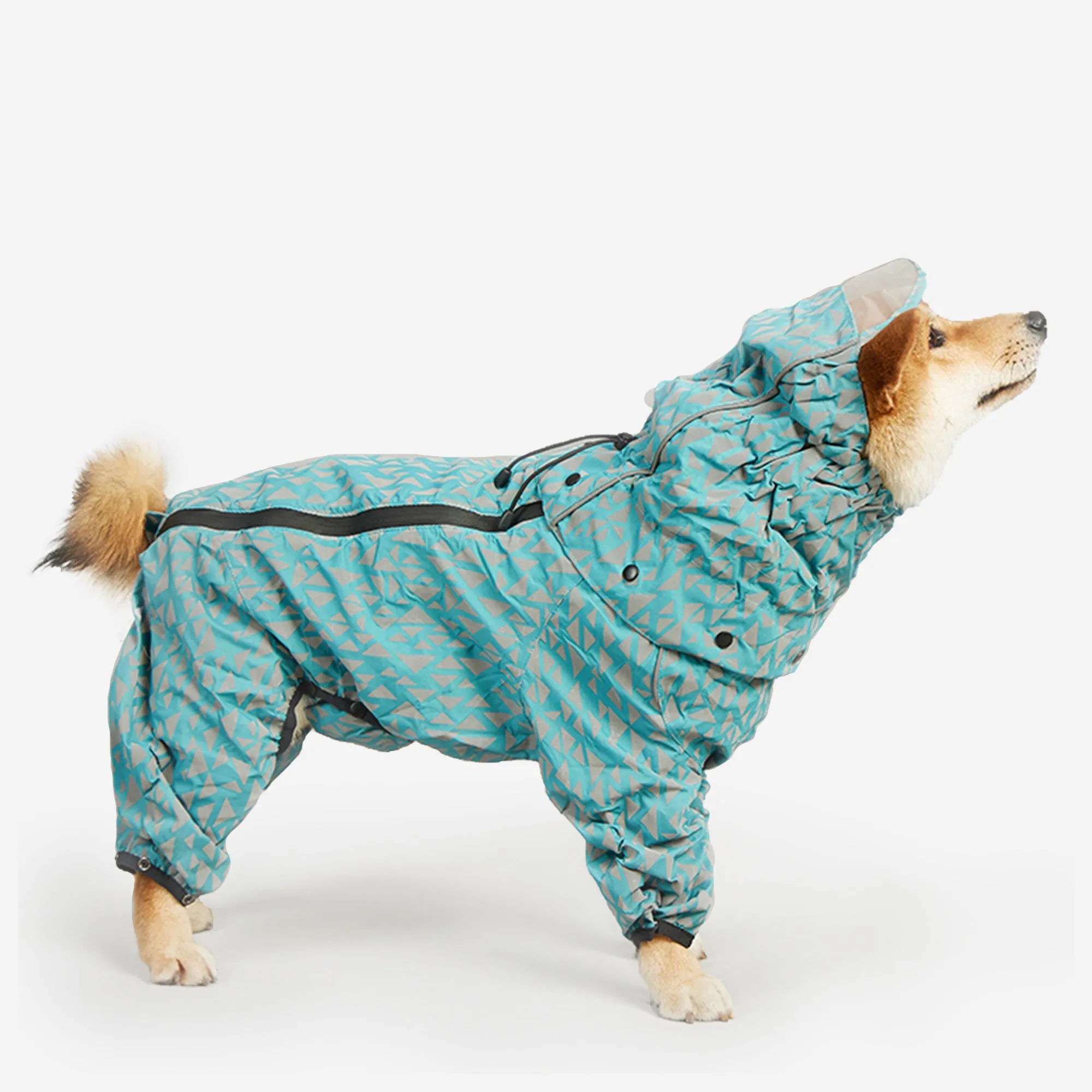 Olive Tree Dog Raincoats