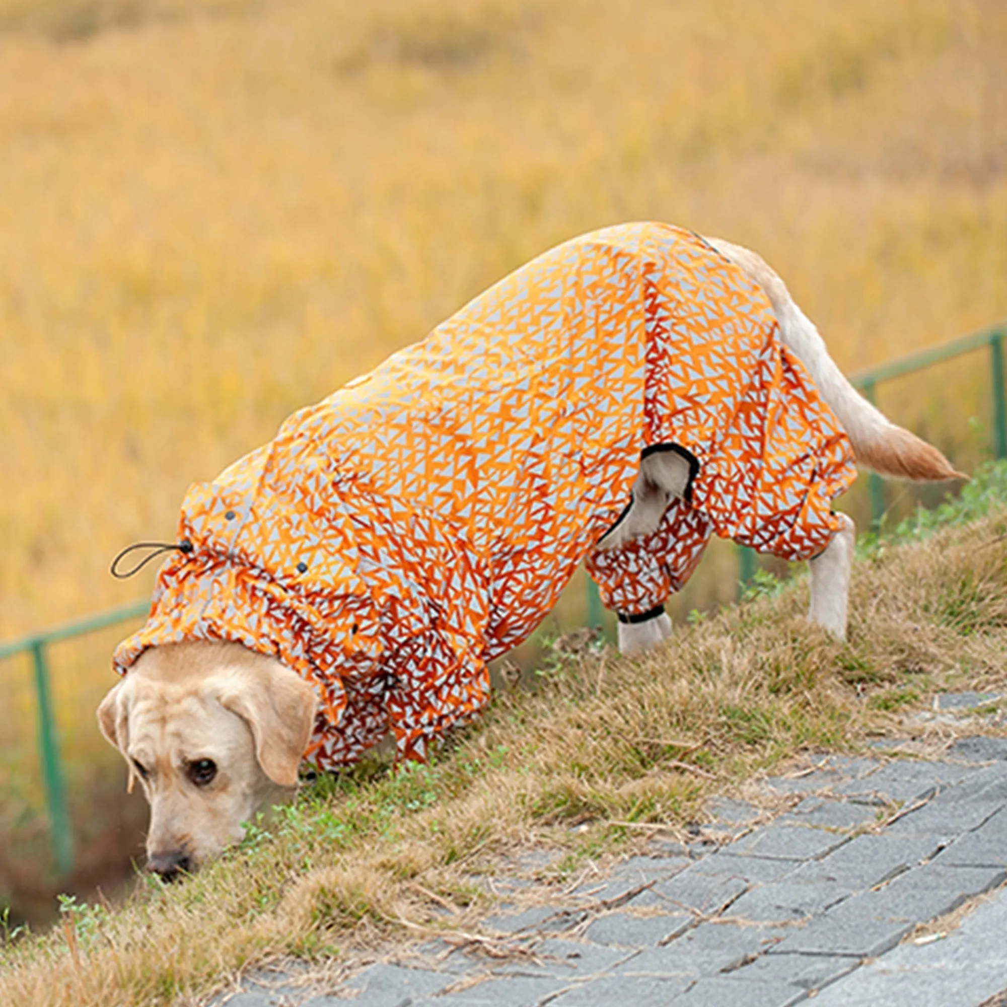 Olive Tree Dog Raincoats