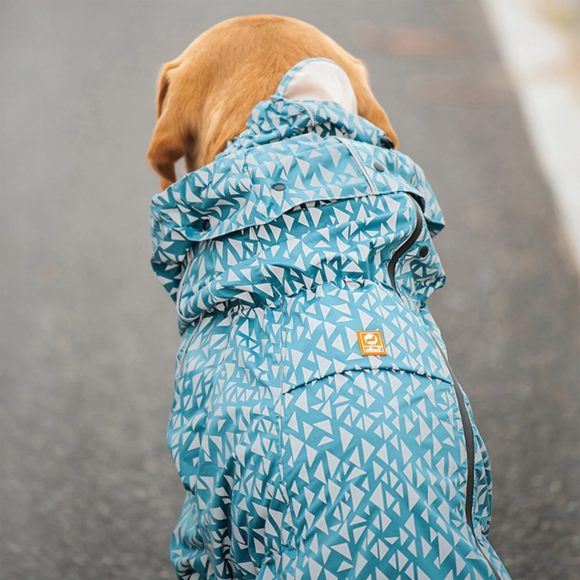 Olive Tree Dog Raincoats