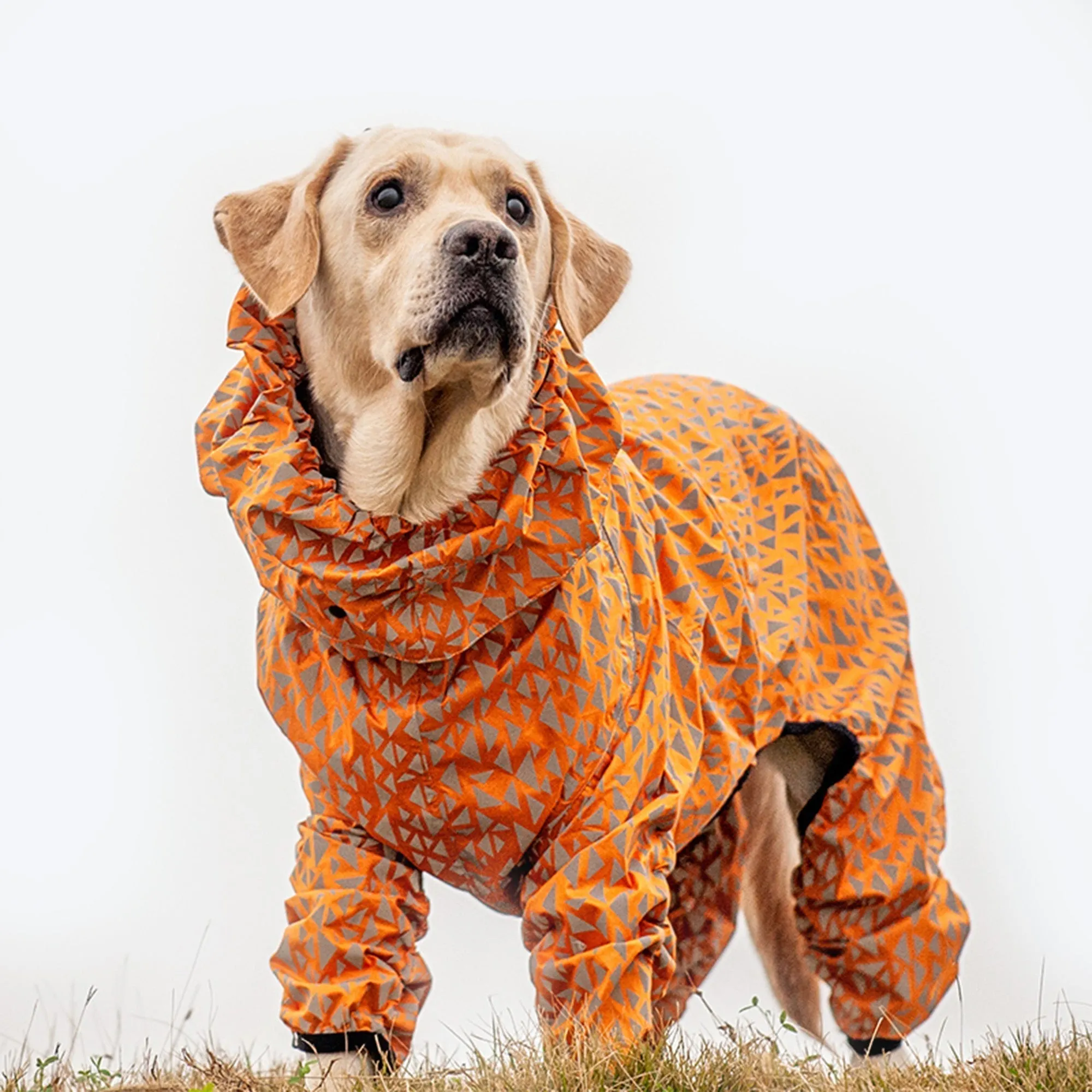 Olive Tree Dog Raincoats