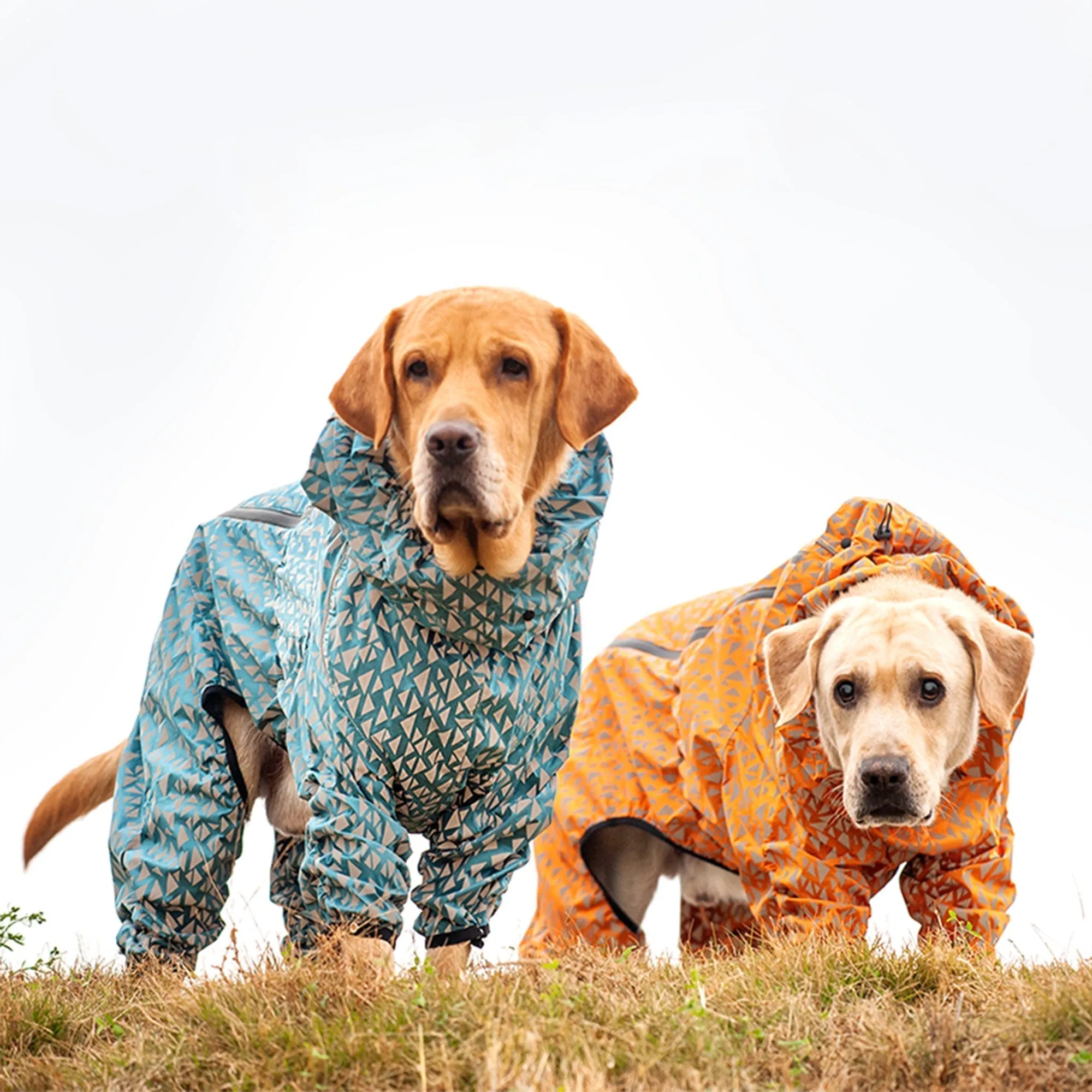 Olive Tree Dog Raincoats