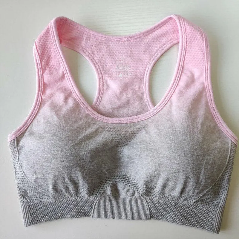 Ombre Seamless Sport Bras