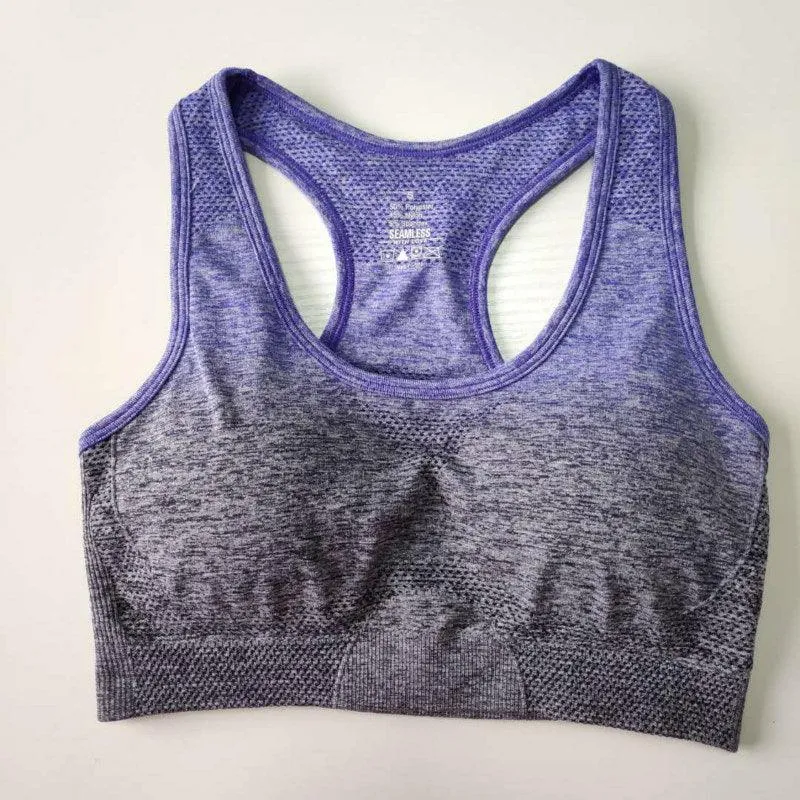 Ombre Seamless Sport Bras