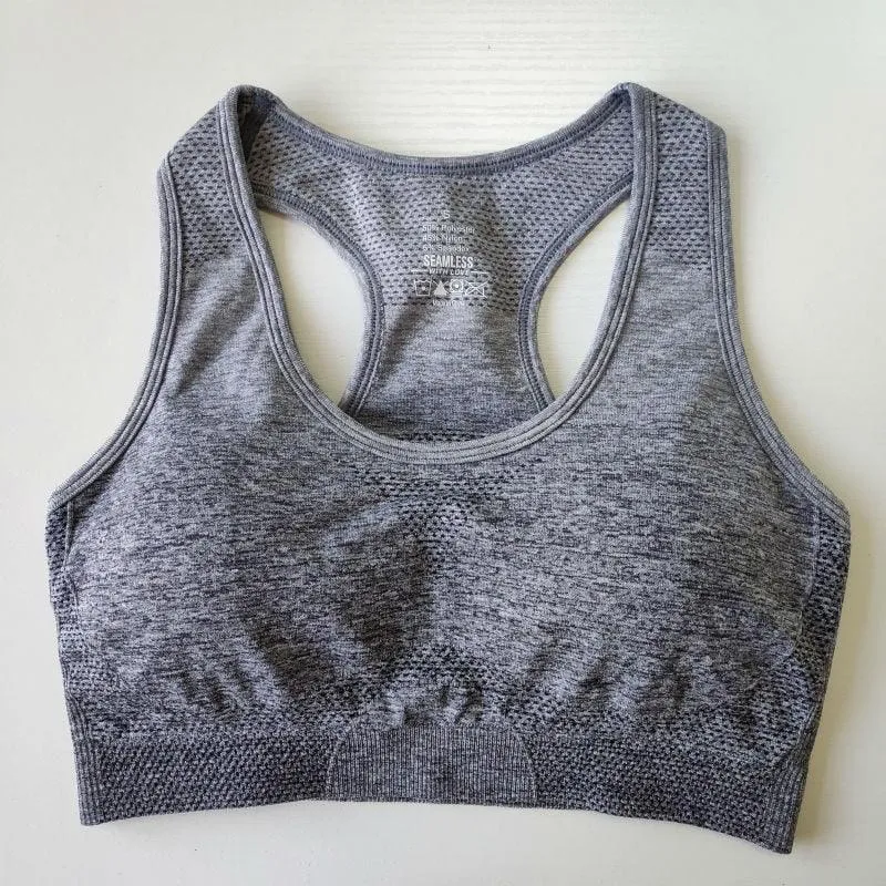 Ombre Seamless Sport Bras