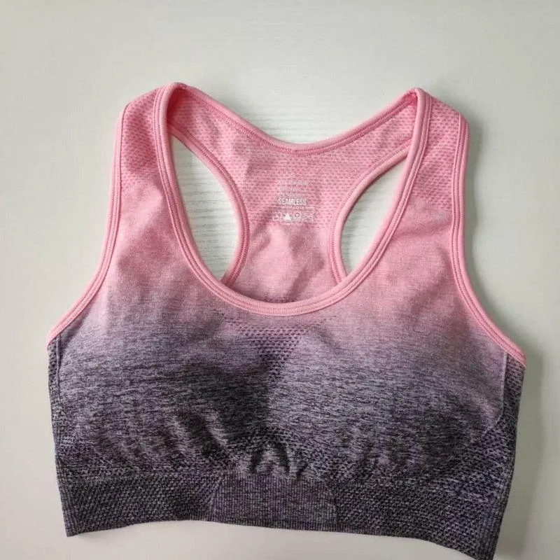 Ombre Seamless Sport Bras