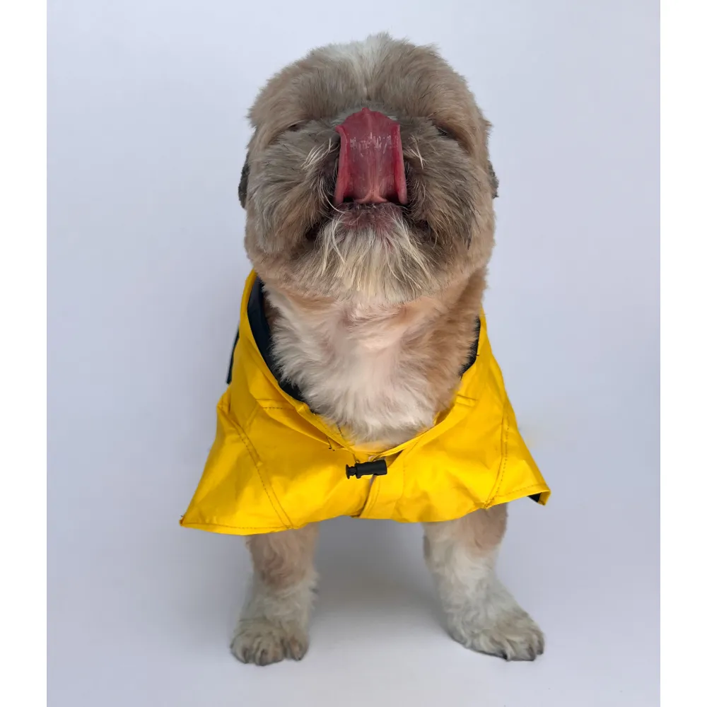 Pawgypets Raincoat for Dogs and Cats (Yellow Taxi)