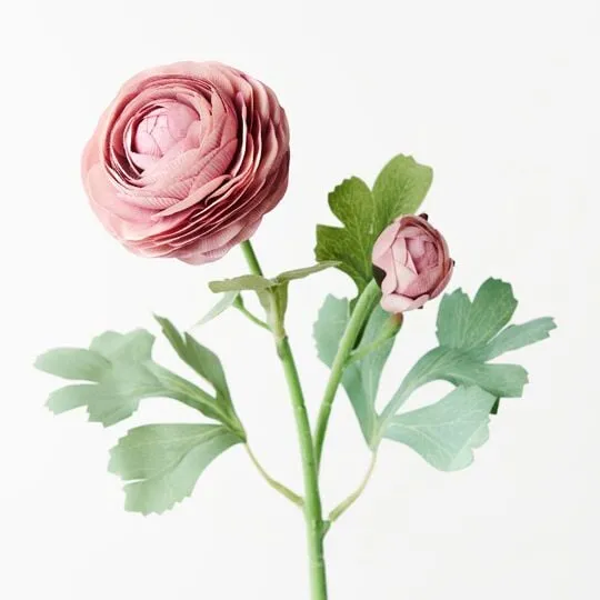 Ranunculus Spray Dusty Pink 50CML