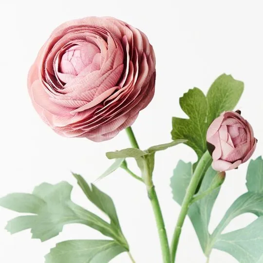 Ranunculus Spray Dusty Pink 50CML