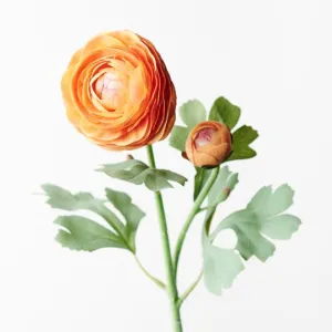 Ranunculus Spray Orange 50CML