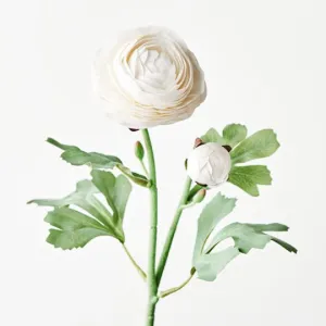 Ranunculus Spray Winter White 50CML